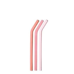 FAIRYTALE PINKS LITTLE BOTTLE STRAWS 500ML (16 OZ) SET OF THREE